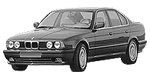 BMW E34 B17E9 Fault Code